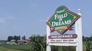 field of dreams