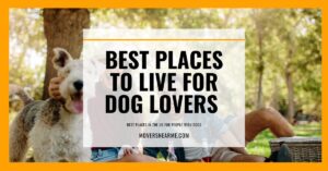 best places for dog lovers