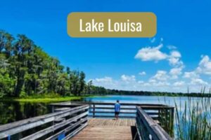 lake louisa